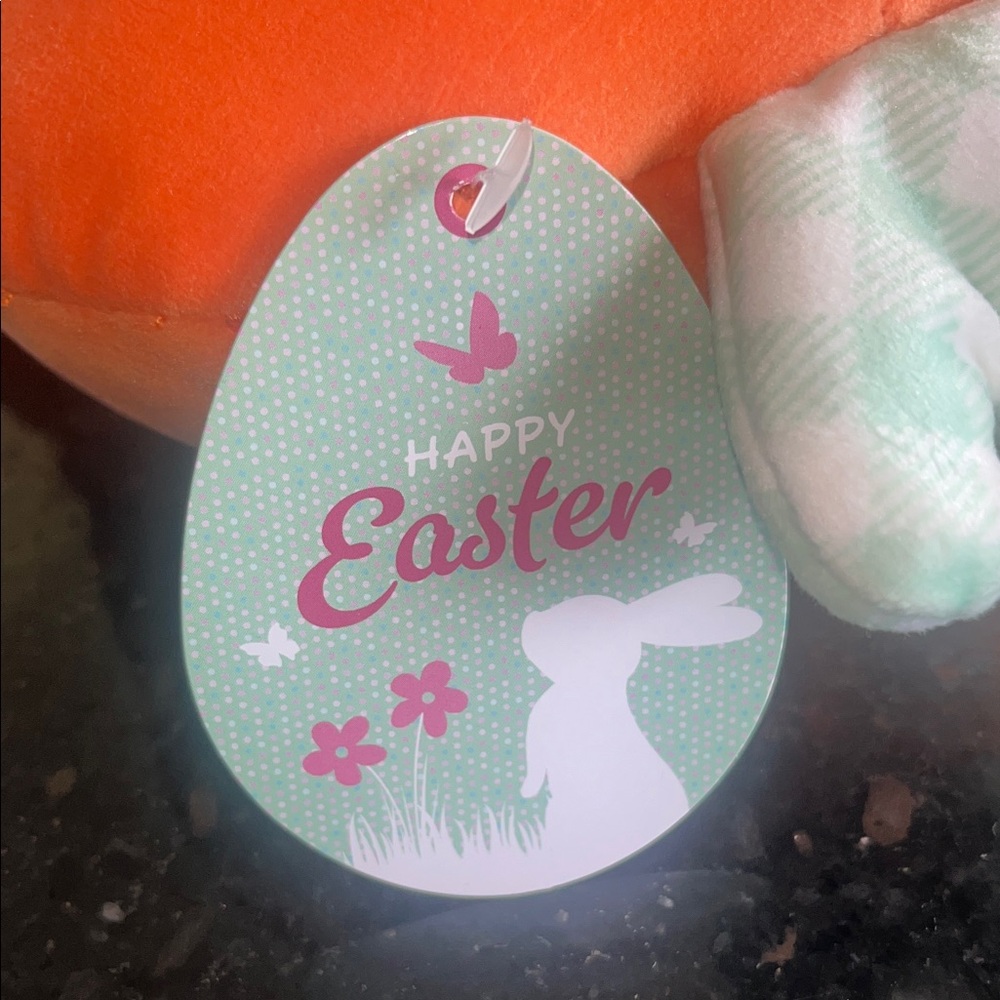 Talking Plush Orange Carrot Stuffed Toy - Says Happy Easter - Picture 3 of 4